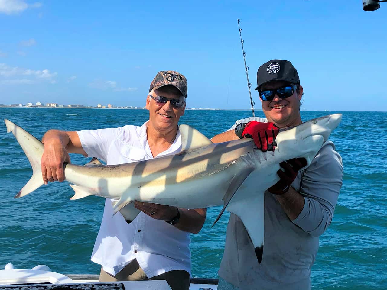 HOW To CATCH Blacktip SHARKS From The Beach! - Fishing in Florida 