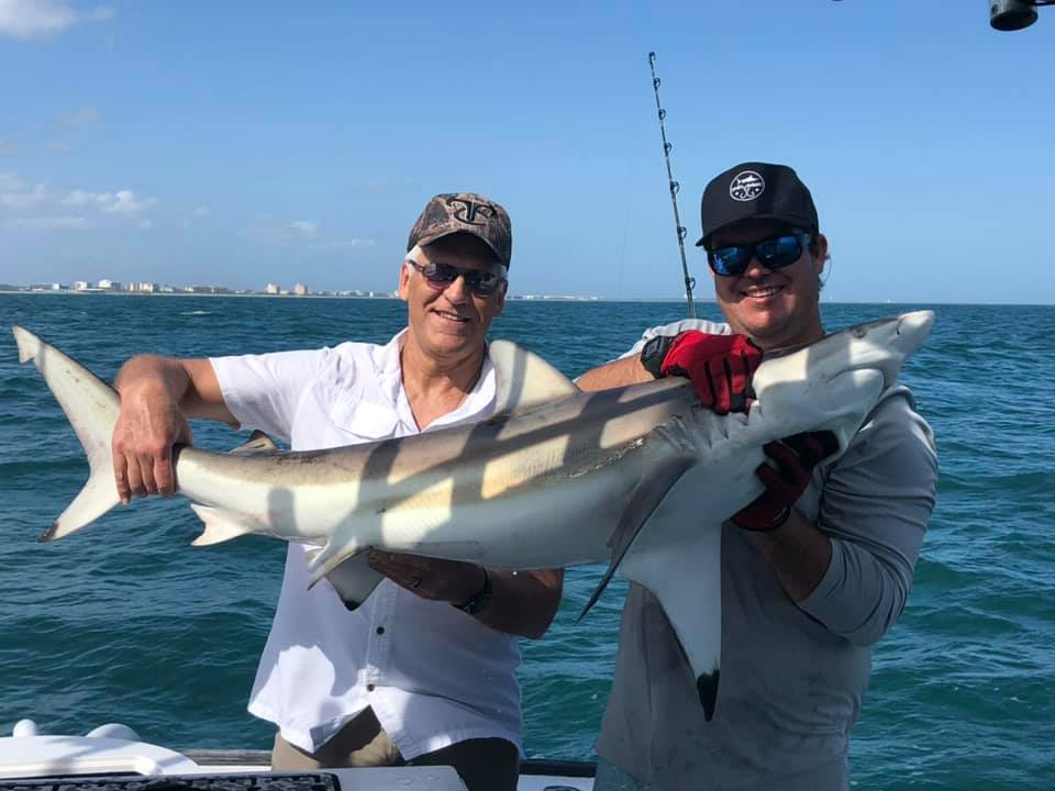 Shark Fishing in Florida: A How To Guide – Outdoor Charts