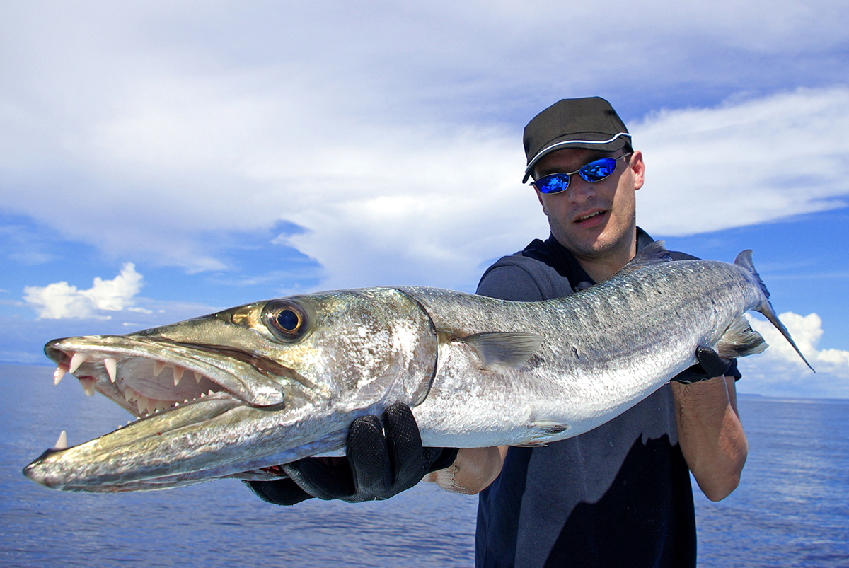 Great Barracuda Fishing Guide  How to Catch a Great Barracuda